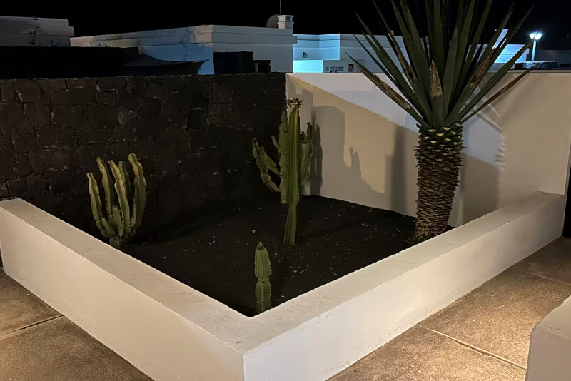 Villa Citrus - holiday villas in lanzarote