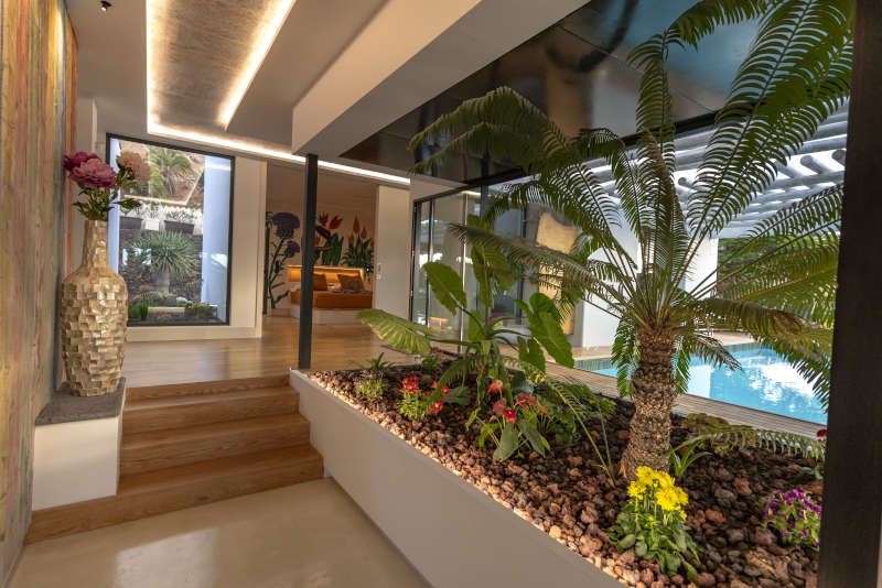 Villa Liquen - villas in lanzarote for rent