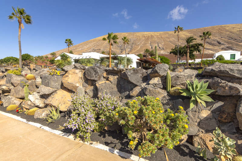 Villa Liquen - holiday villas in lanzarote