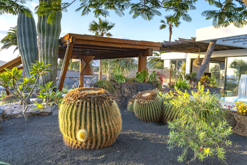 Villa Liquen - lanzarote villas to rent