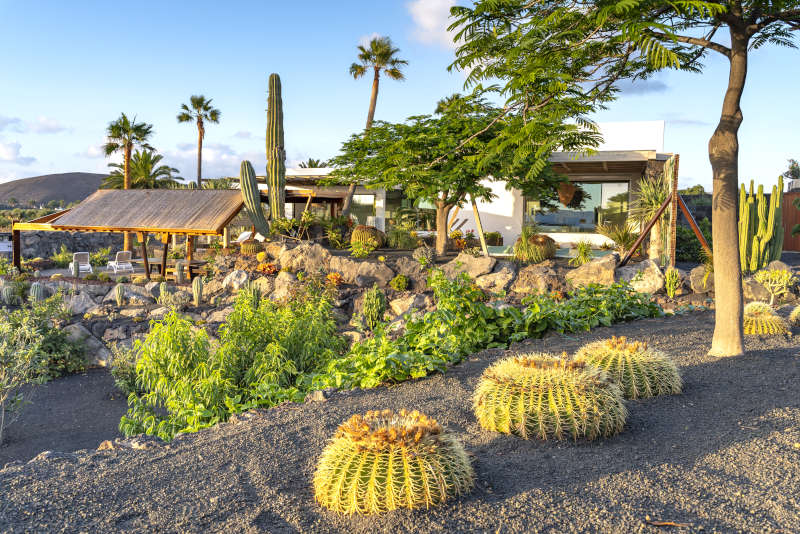 Villa Liquen - villas in lanzarote for rent