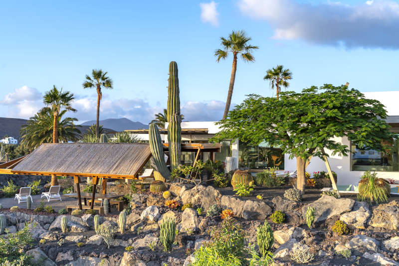 Villa Liquen - private villas lanzarote