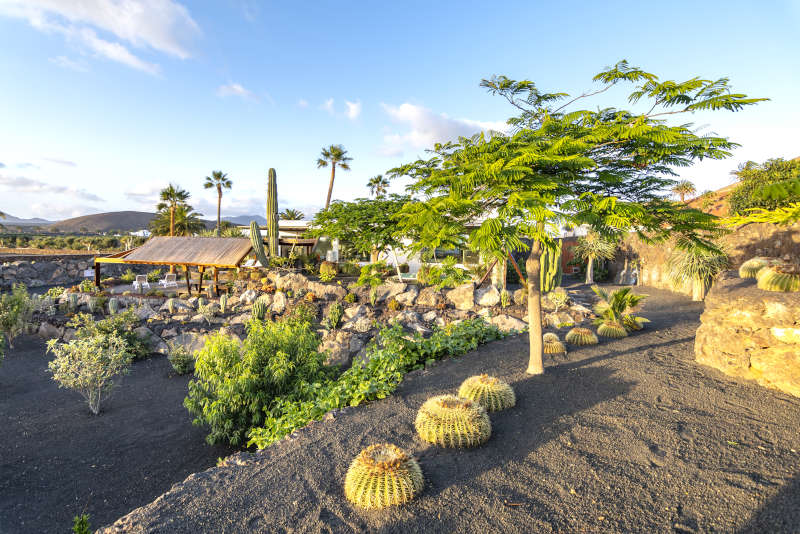 Villa Liquen - private villas in lanzarote