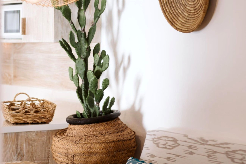 Villa Lily - villas for rent in lanzarote
